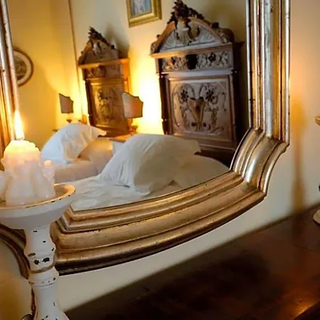 B&B Cimamori-3