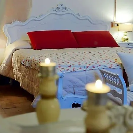 B&B Cimamori-2